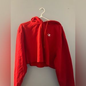 Champion cropped hoodie